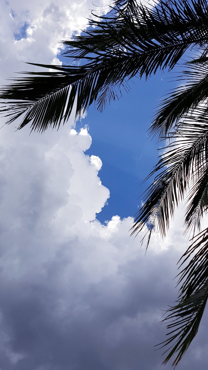 Gathering clouds before the storm