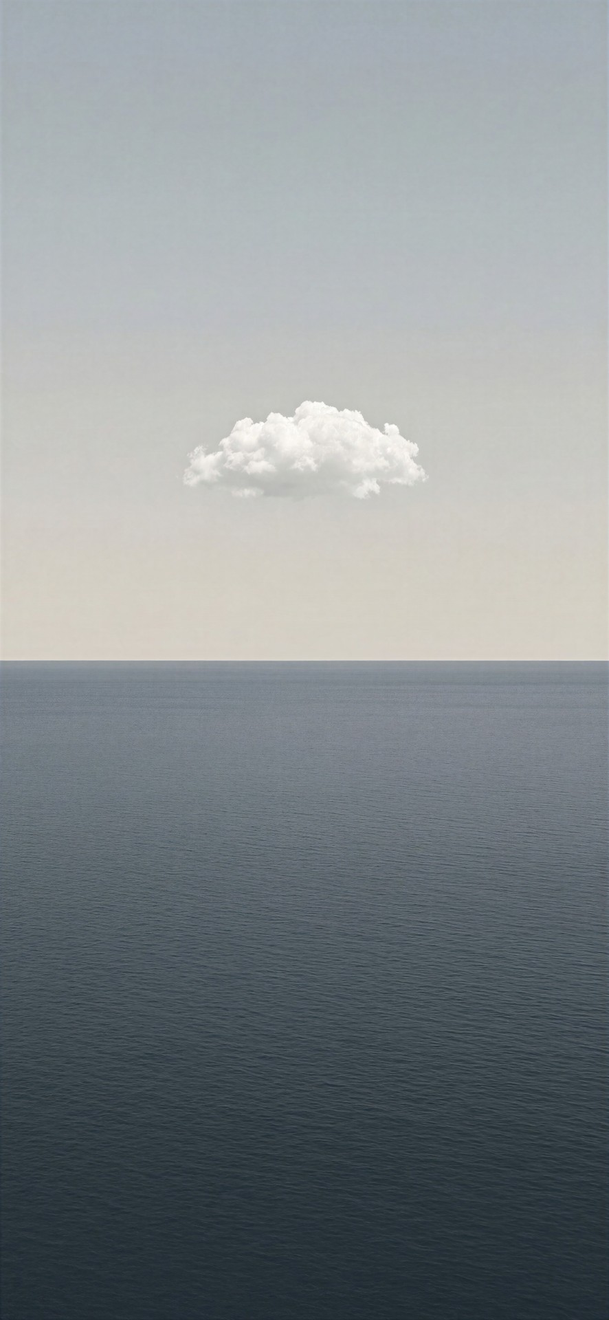 обои plain, steppe