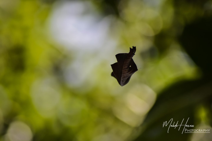 Hanging in the air