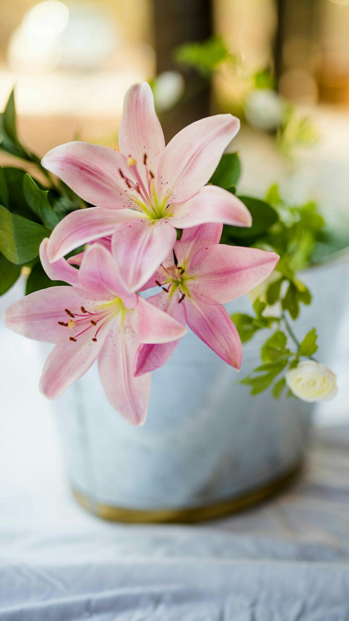 Goooooooooood Morning To My Dear Beautiful Friends