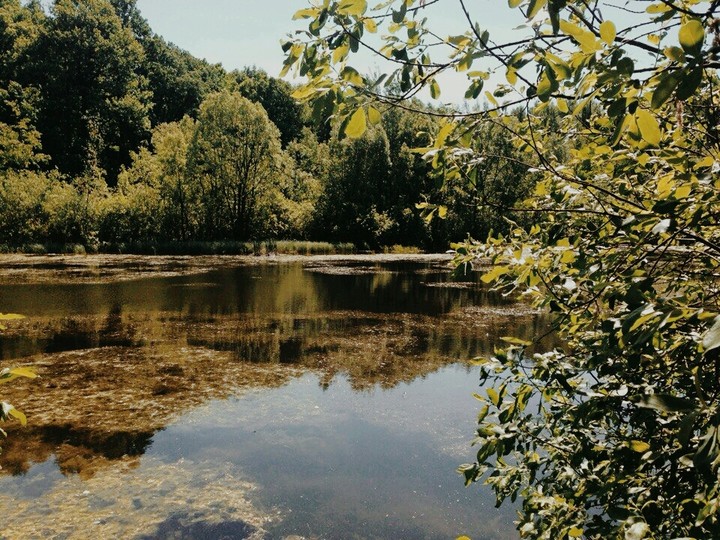 Lake