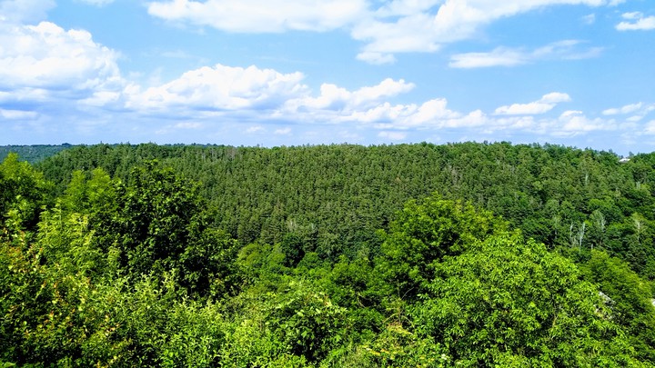 Ukrainian heights. Forests.