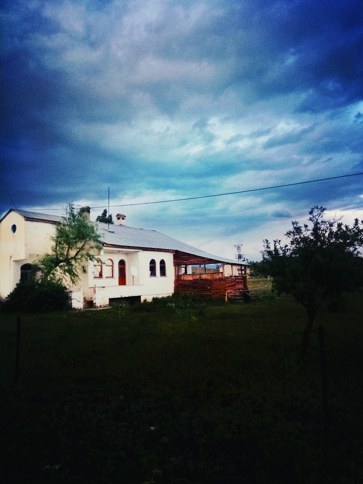 nature