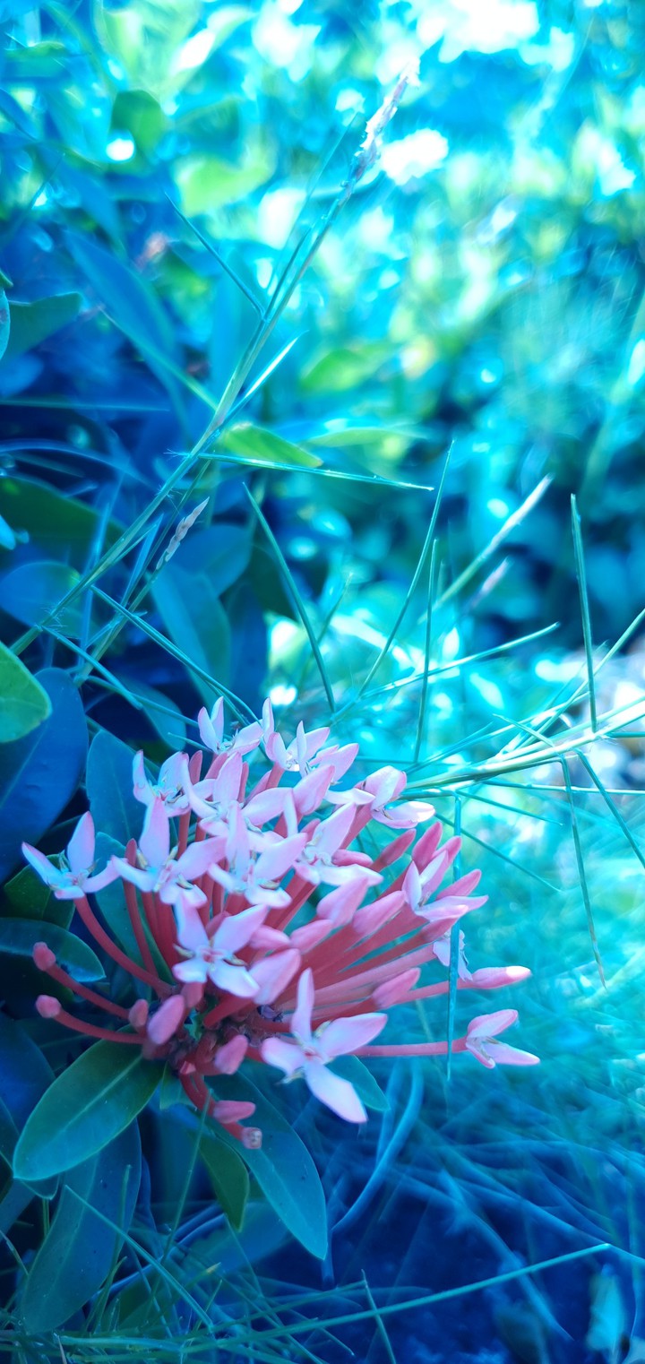 love nature
