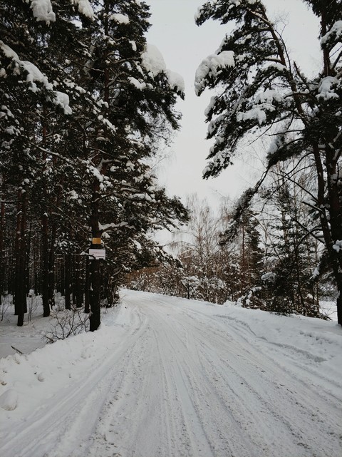 Новосельцево