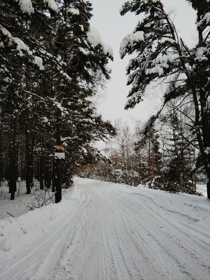Новосельцево