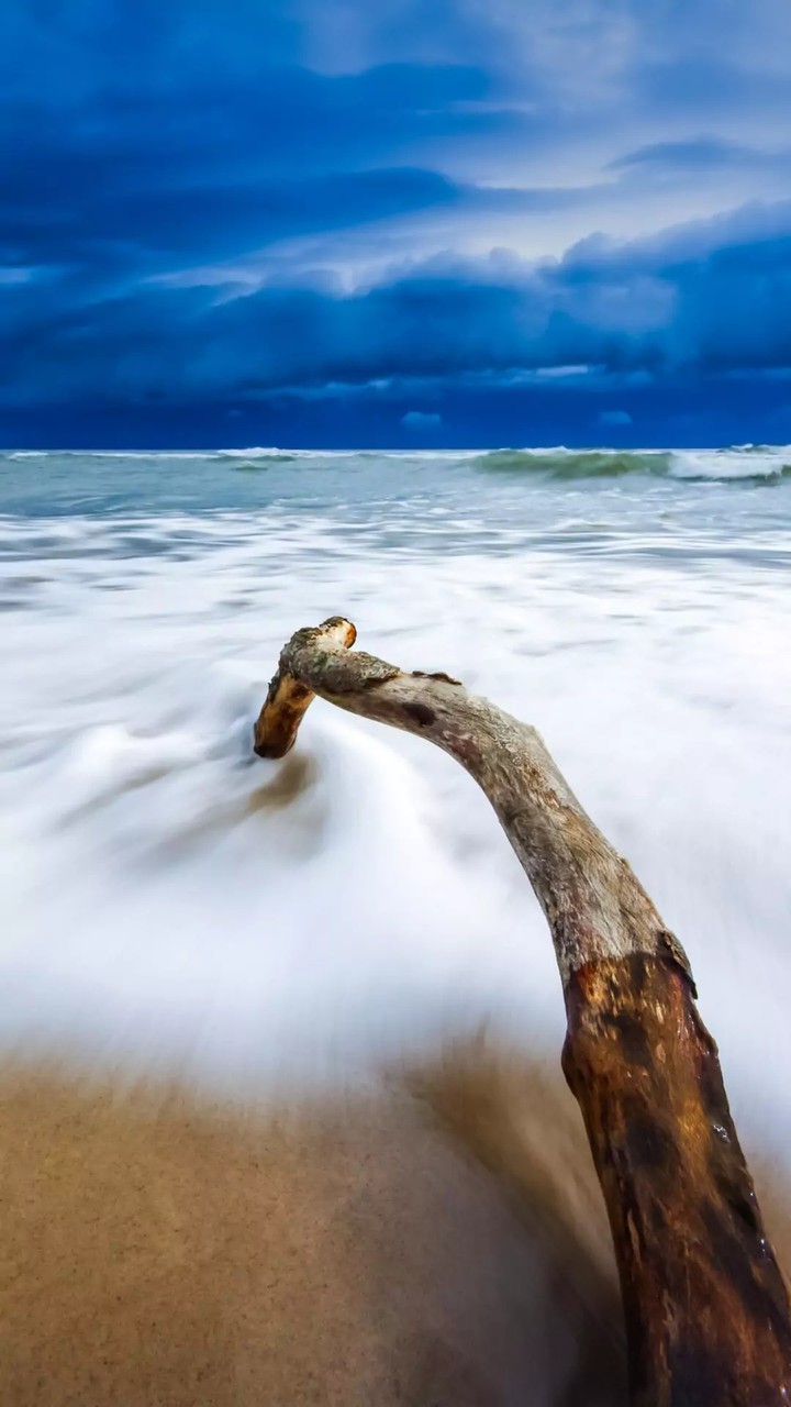 sea