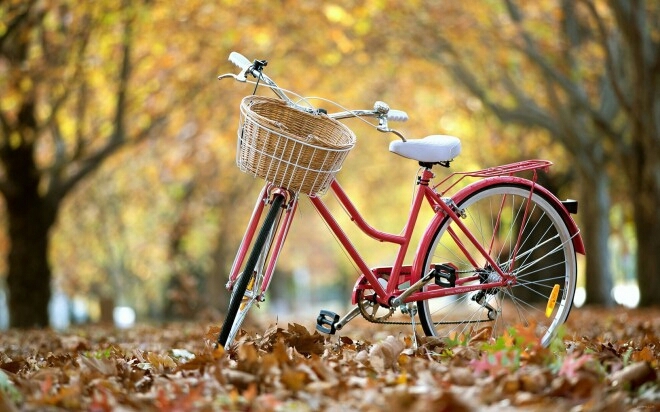 Bike