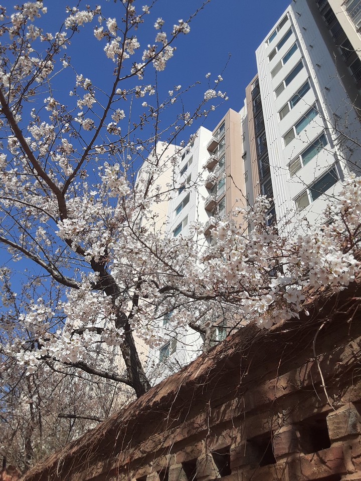 ㅇ