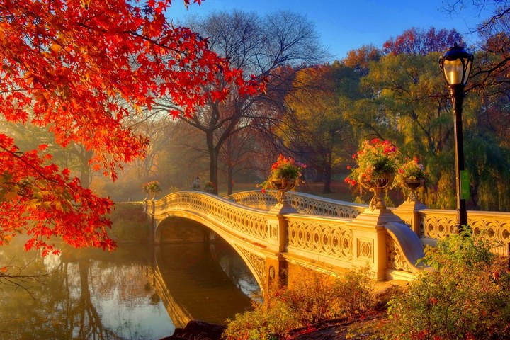 Pont