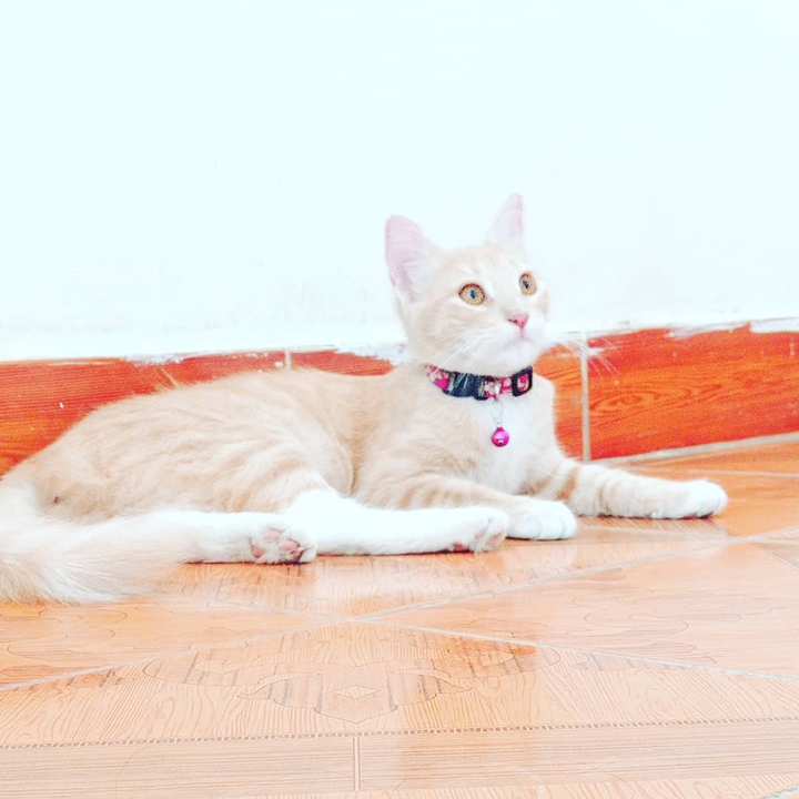 Mi julieta ya tiene 5 meses