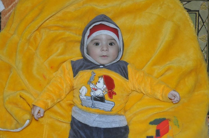 Ameer Ali
