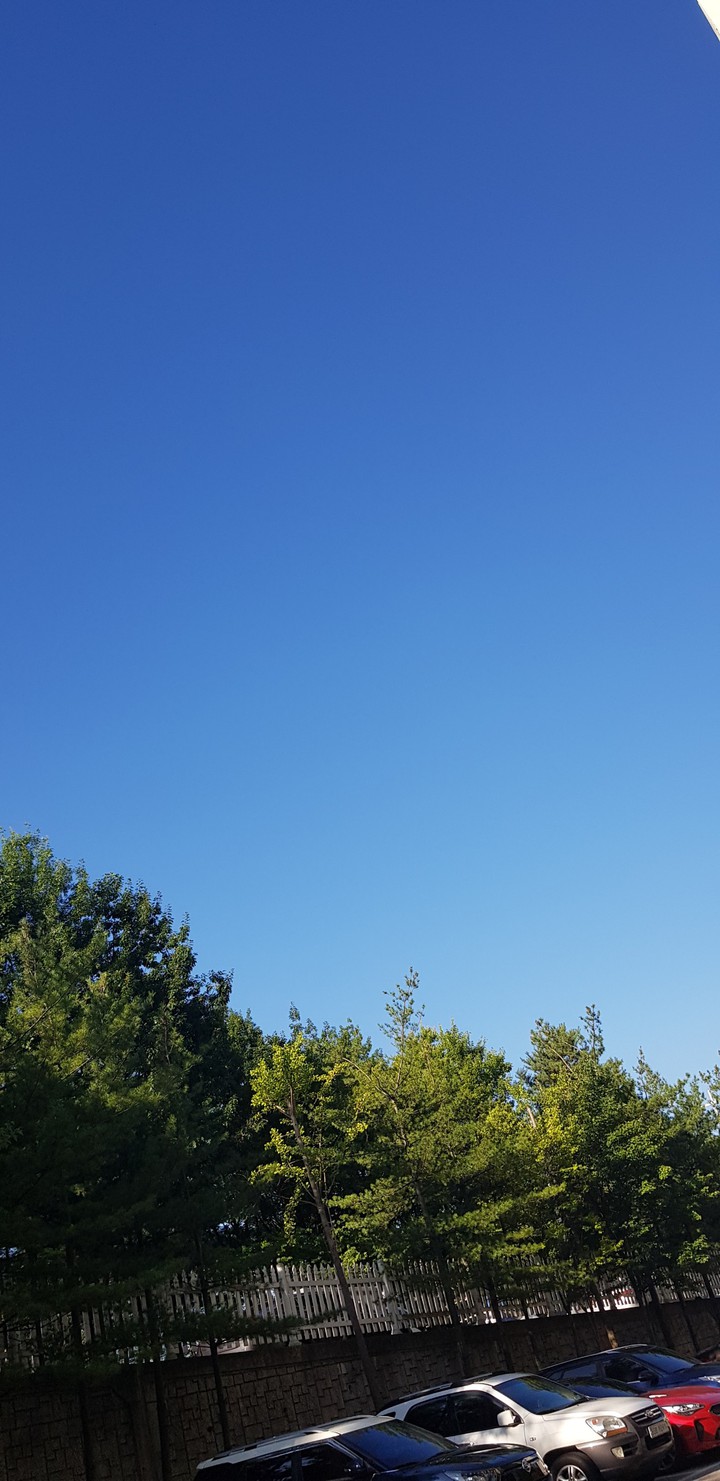 하늘