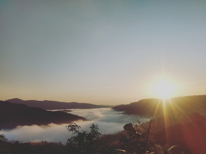 morning mist