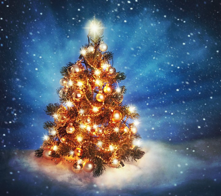Christmas Tree