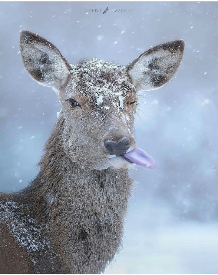 perfect click