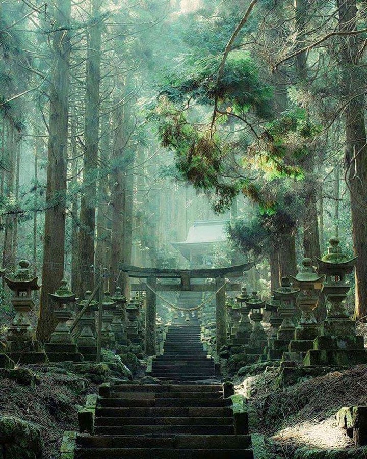 Ancient ??