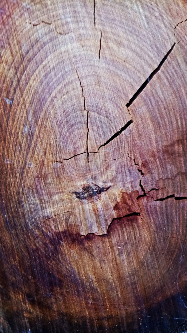 wood