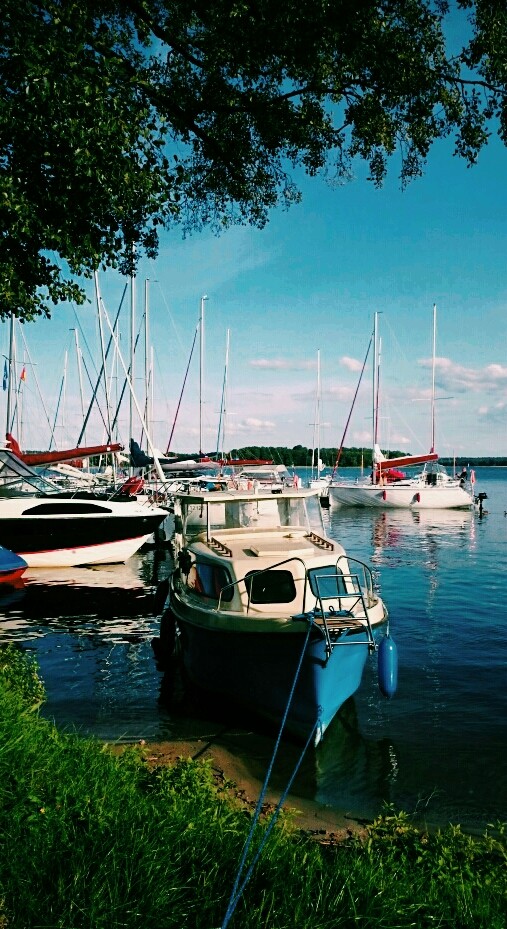 sailboats ❤❤❤