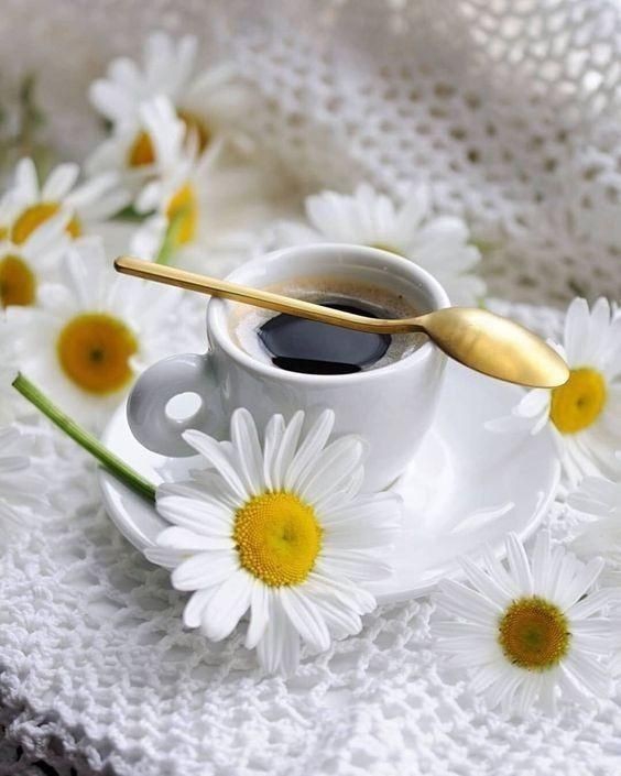 ☕❤❀