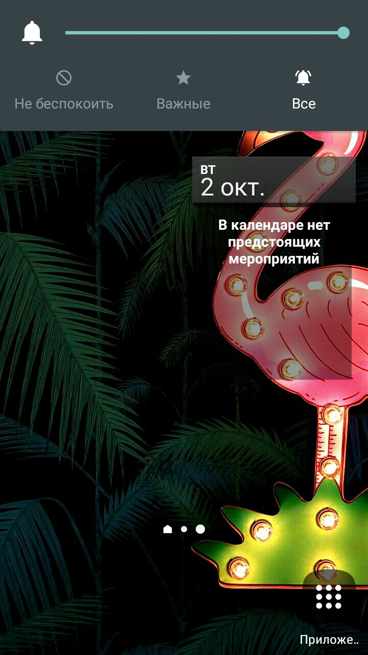 Mi Scrinshot