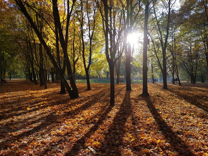 Autumn