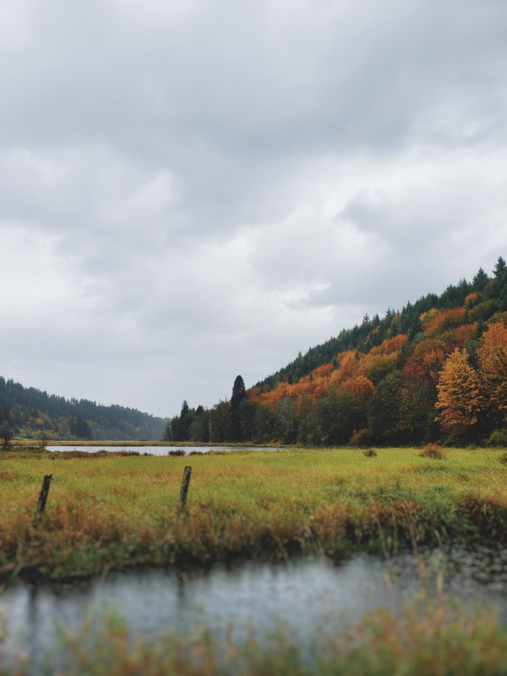 #fall