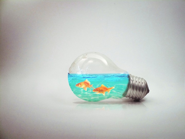bulb