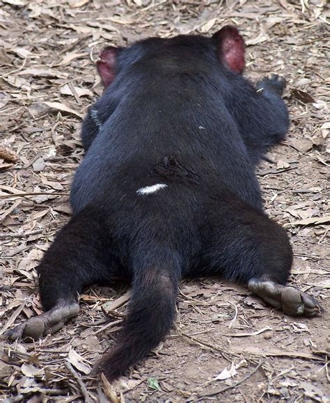 ?