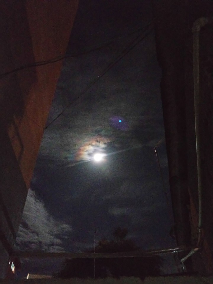 Volmaan  ☽