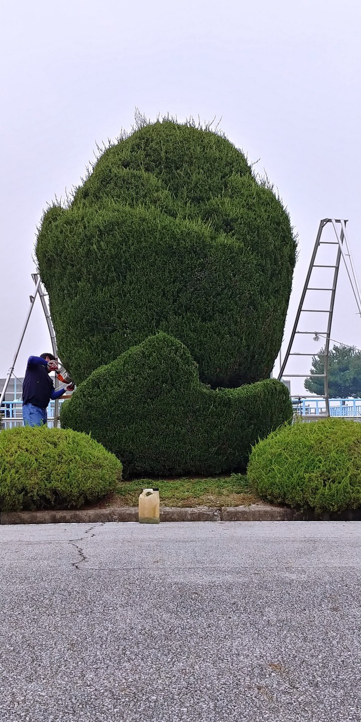 니무