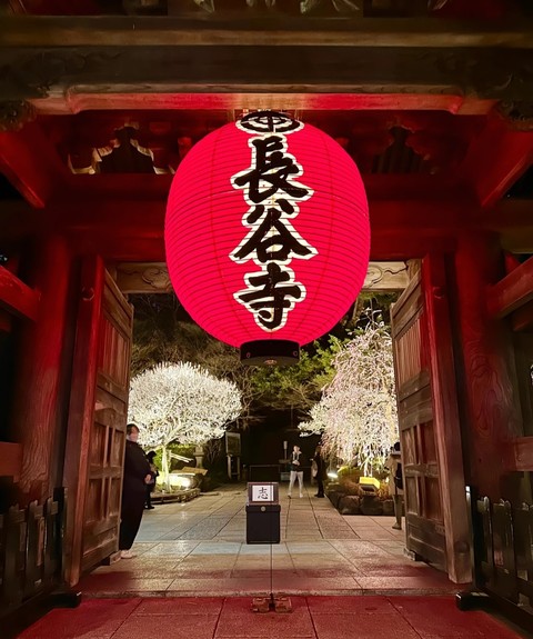sfondi Gate, flowers