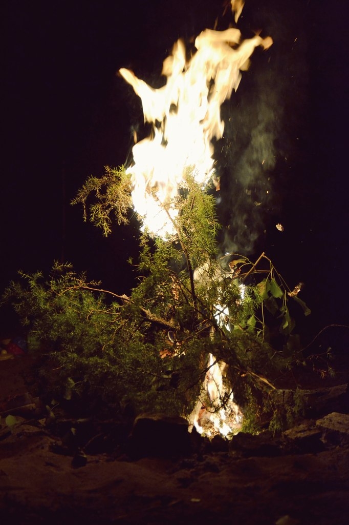 Fire