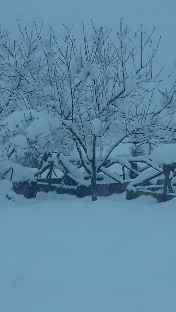 ❄