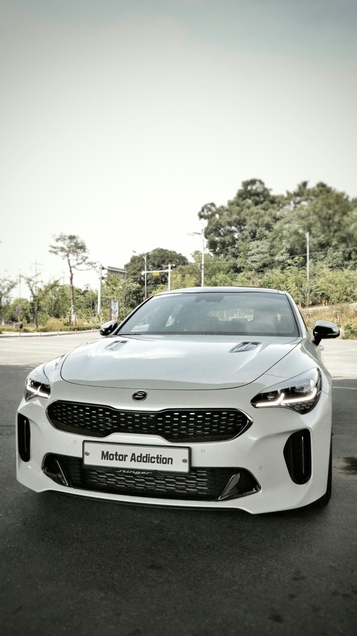 stinger
