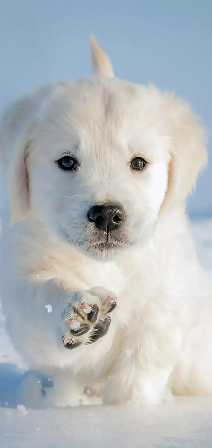 cute