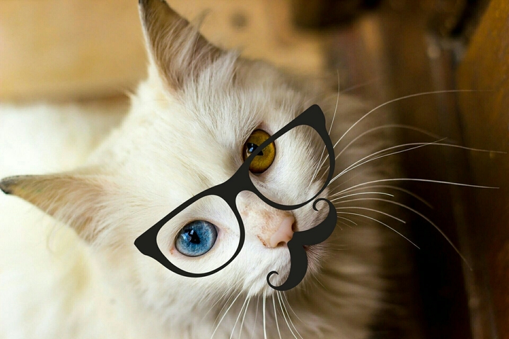Hello Madam
