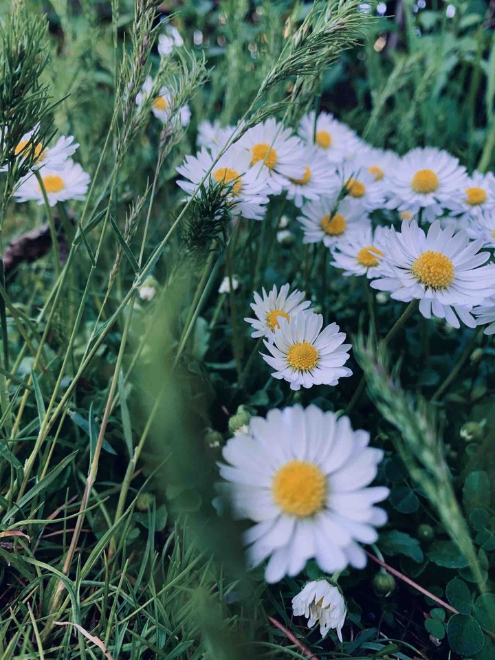 The summer is on her way