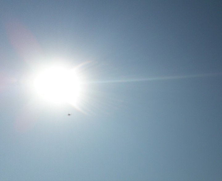 Sunny Sky