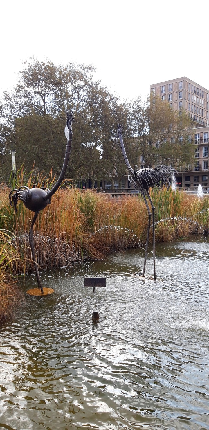 Automne au Havre