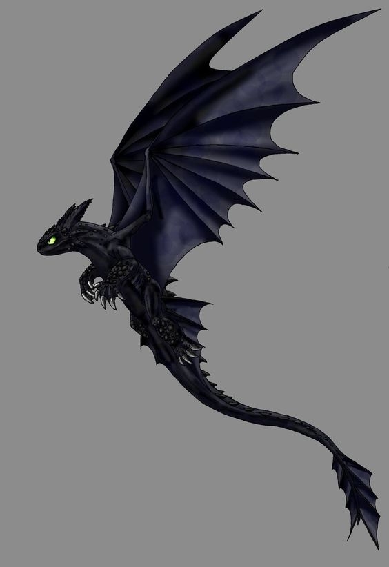 here's a Dragon u will live toothless!