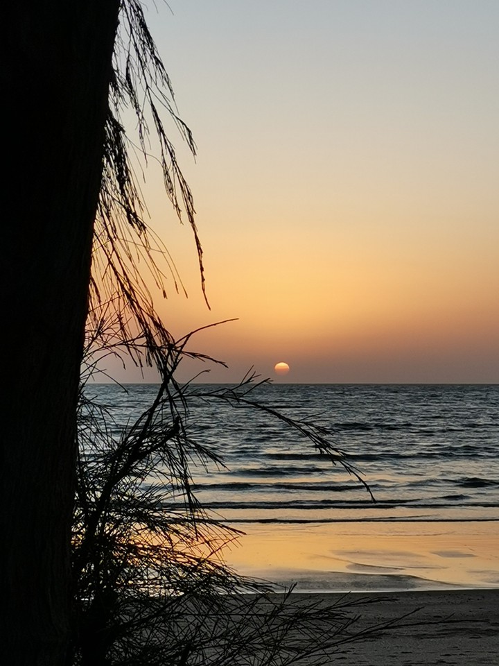sunset