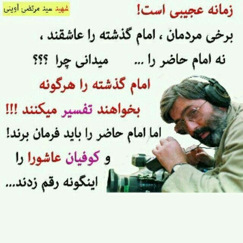 سید شهیدان اهل قلم