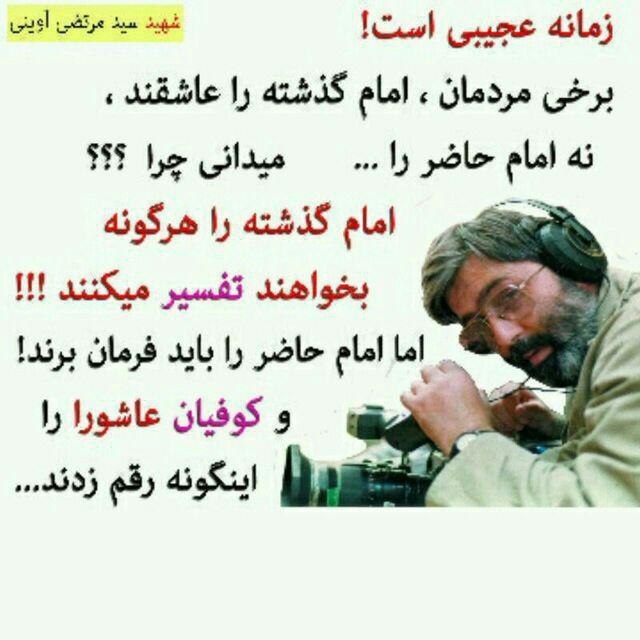 سید شهیدان اهل قلم