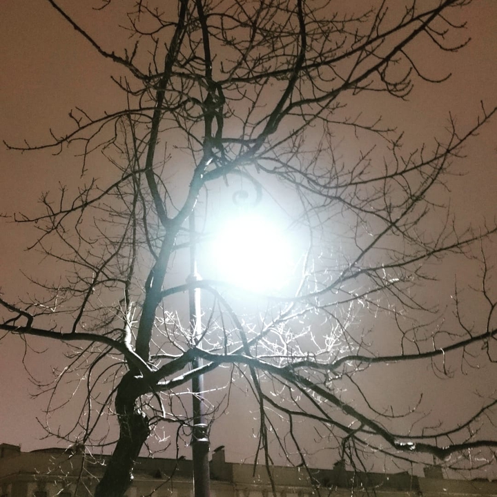 night