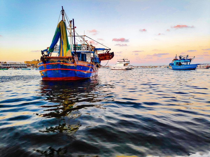 sea boats