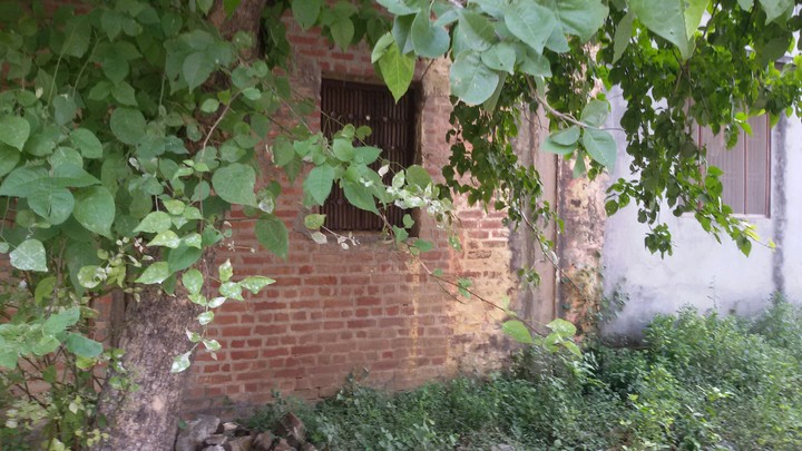 cottage