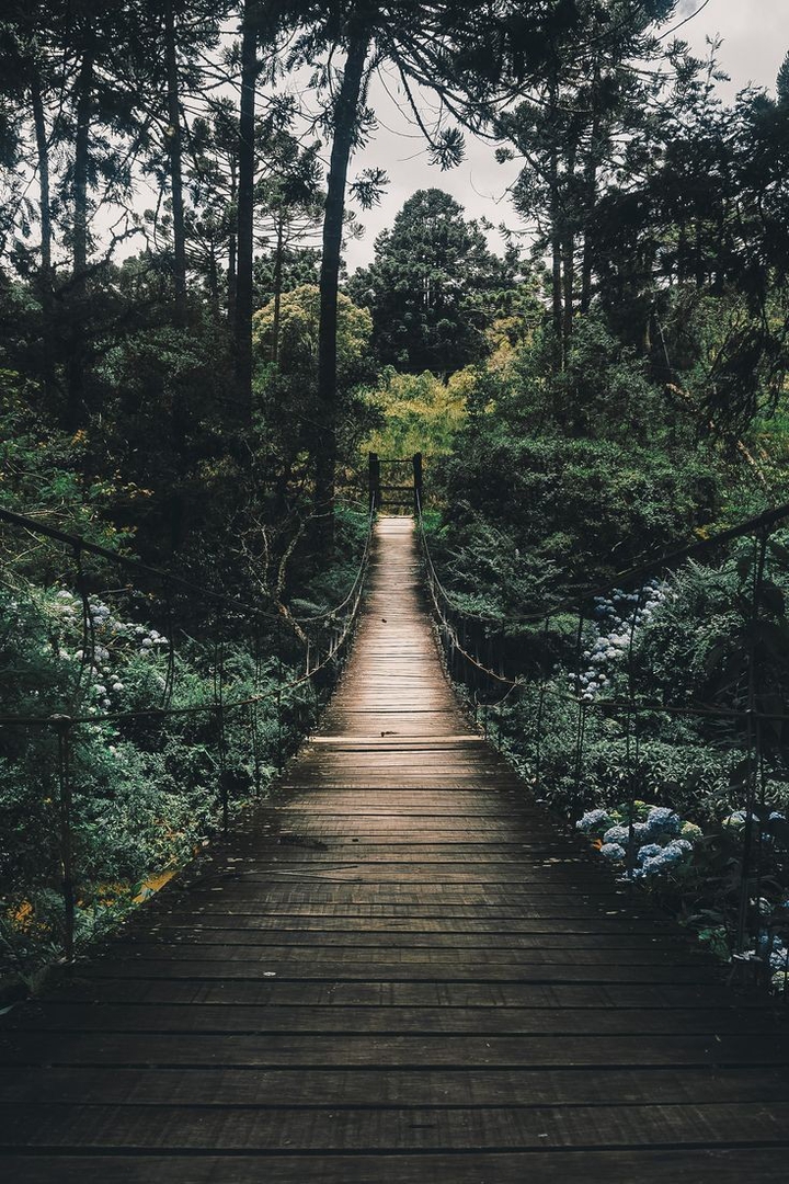 jungle?️⛰️