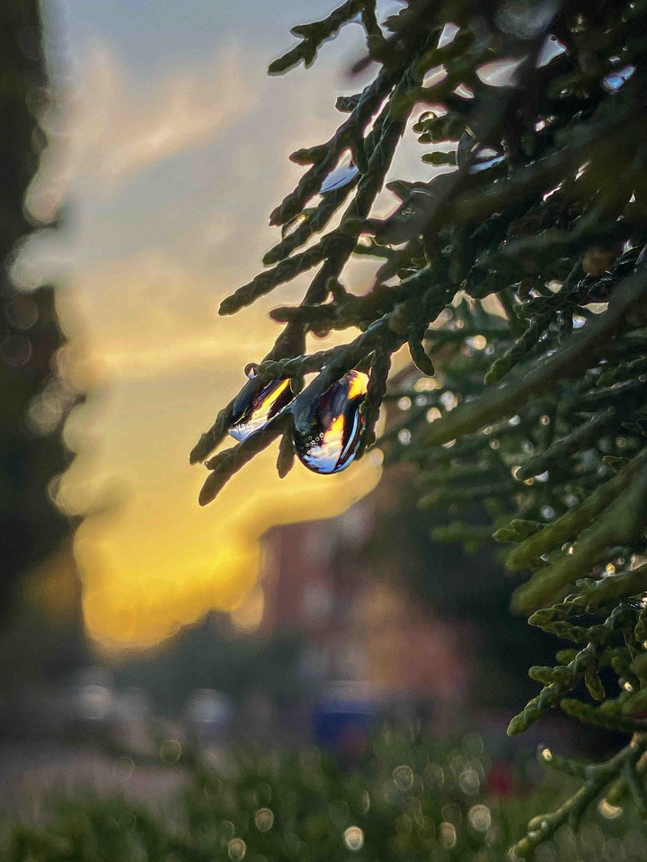 After Rain