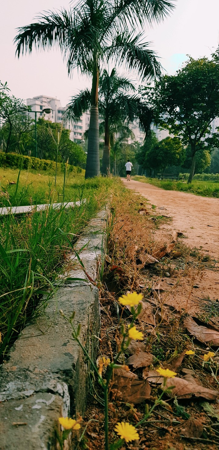 park